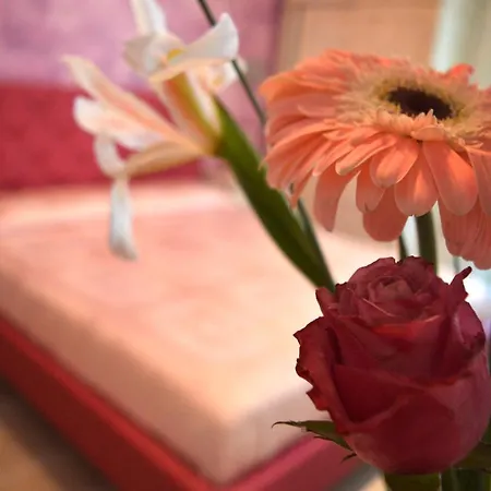 Bed & Breakfast Tally Salve