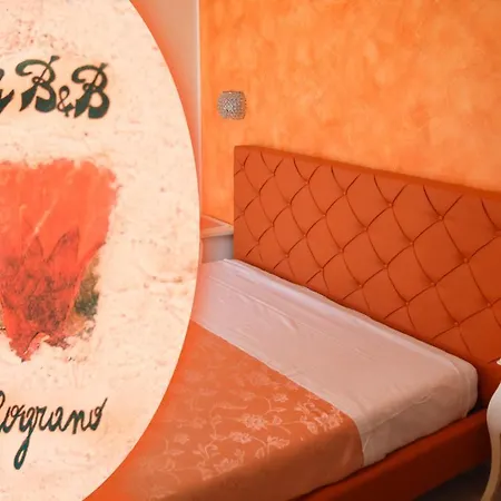 Tally Bed & Breakfast *